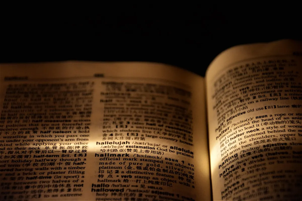 Publishing Glossary: 30 Terms Every New Writer Should Know